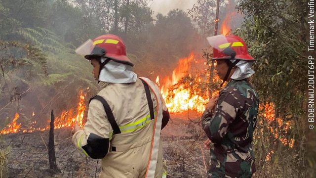 Prajurit Brigif TP 85/BTC Respon Cepat Padamkan Karhutla 3 Hektare di Desa Jengan Danum, Damai
